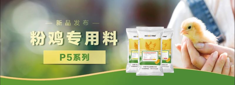 粉雞專(zhuān)用料